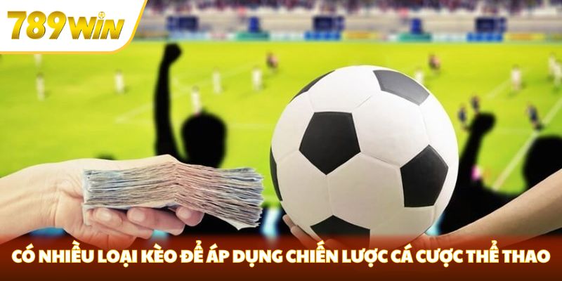 Chiến Lược Cá Cược Thể Thao Nhanh Thắng Nhất Tại 789WIN Có rất nhiều chiến lược cá cược thể thao mang lại hiệu quả cao